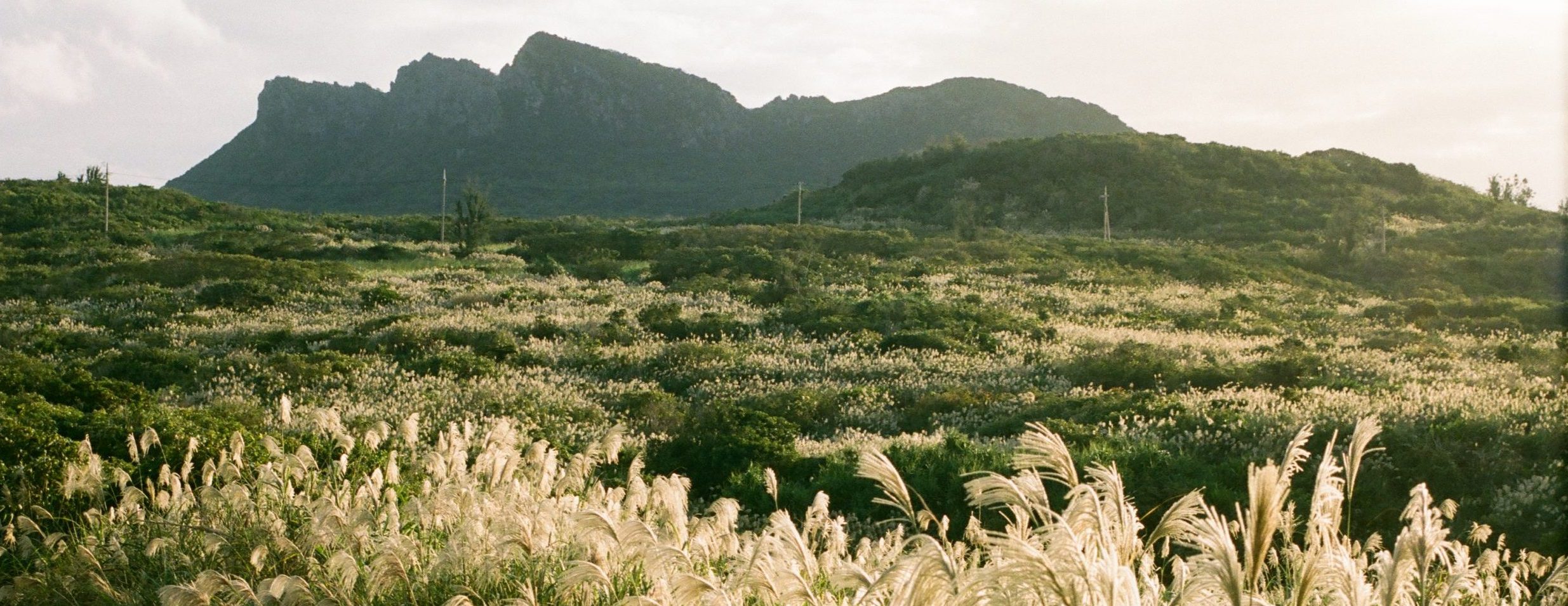 Discovering the Enchanting Beauty of Okinawa: A Tropical Paradise